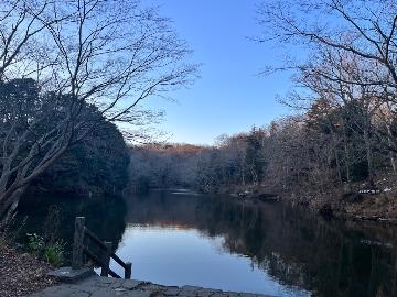 湖のまわりに木々が生い茂り、湖の水面に回りの木々が反射して写っている震生湖の写真